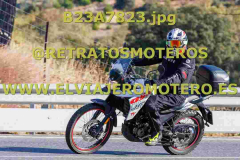 B23A7823