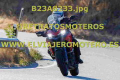 B23A8233