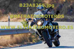 B23A8255