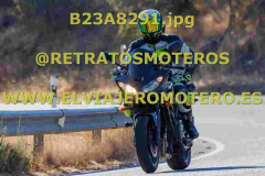 B23A8291