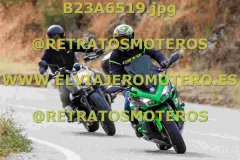 B23A6519