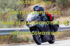 B23A6603