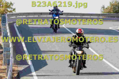 B23A6219