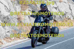 B23A6256