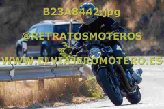 B23A8442
