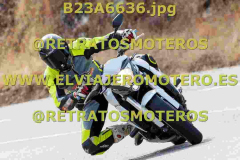 B23A6636