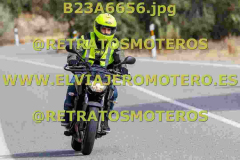 B23A6656