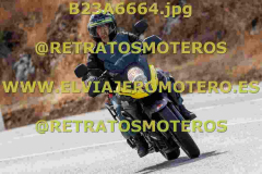 B23A6664
