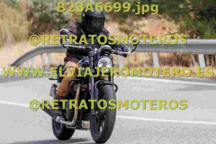 B23A6699
